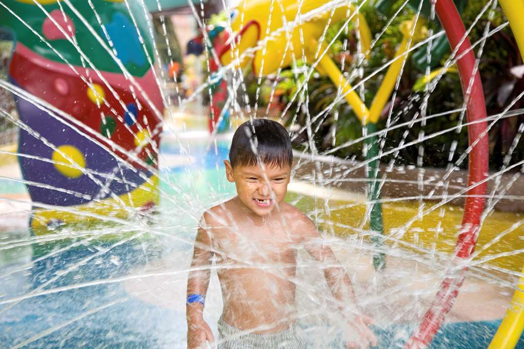 Hilton Garden Inn Houston/Bush Intercontinental Airport Ανέσεις φωτογραφία